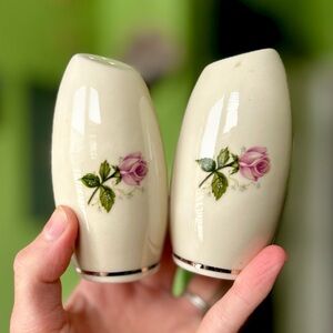 SOLD Dainty Pink Rose Porcelain Fine Dining Kitchen Salt & Pepper Shakers